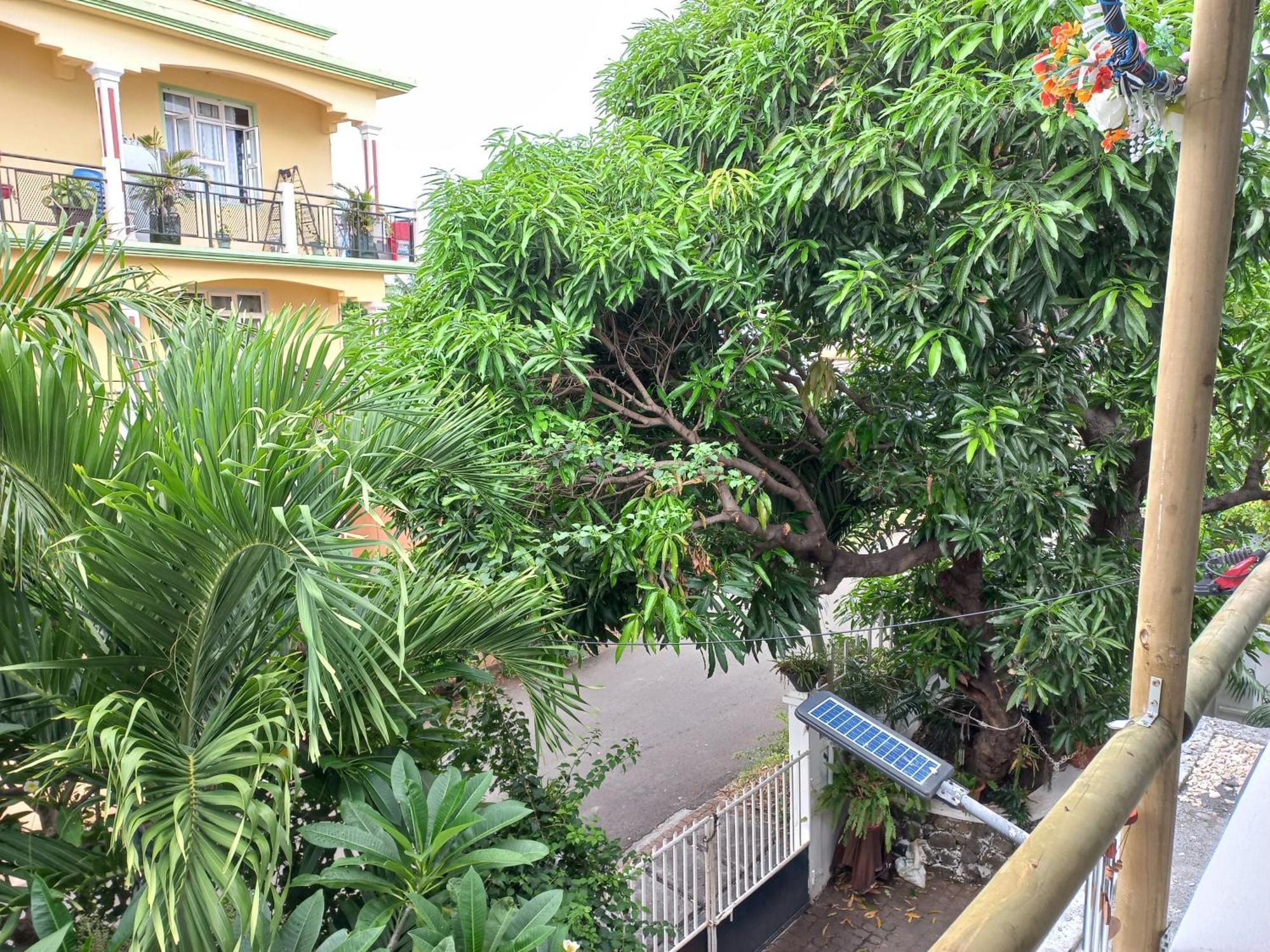 Open Air Cafe & Apartments Port Louis Room photo